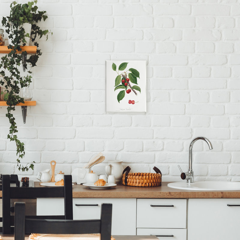 Étude latine de plante murale cerisier, design par lettré et doublé