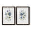 Linen Botanical I - Ensemble de 2 reproductions d'art-137442364