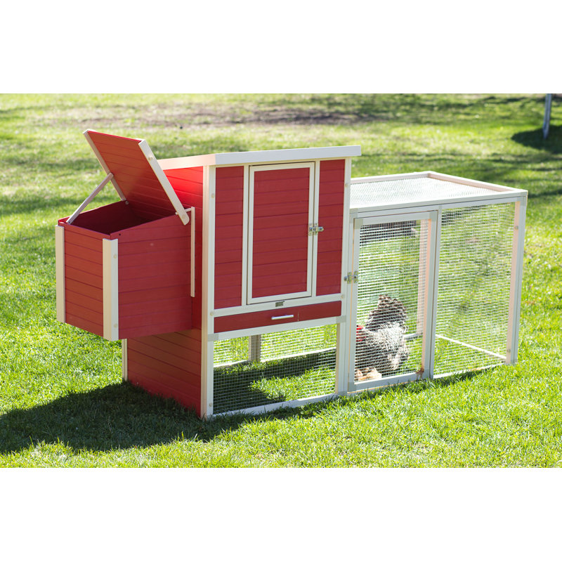 Achilles New Age Pet® ECOFLEX® Chicken Coop with Nesting Box/Roosting Bars