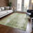 Machine Washable Indoor/Outdoor Claudian ACN1649 Sage Rug-104345725