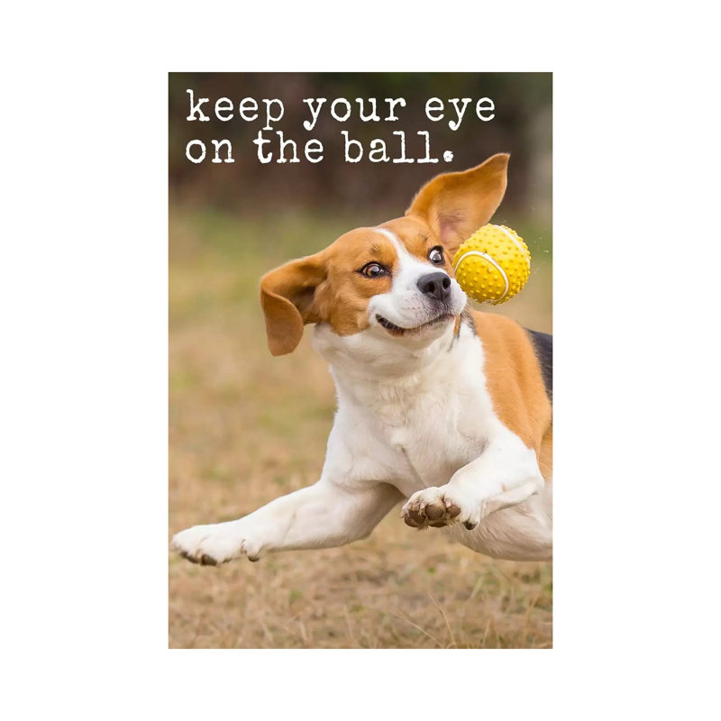 Eye On Ball - Realistic by Dog Is Good And Cat Is Good - Wrapped Canvas Print, 20.32 cm H x 30.48 cm W