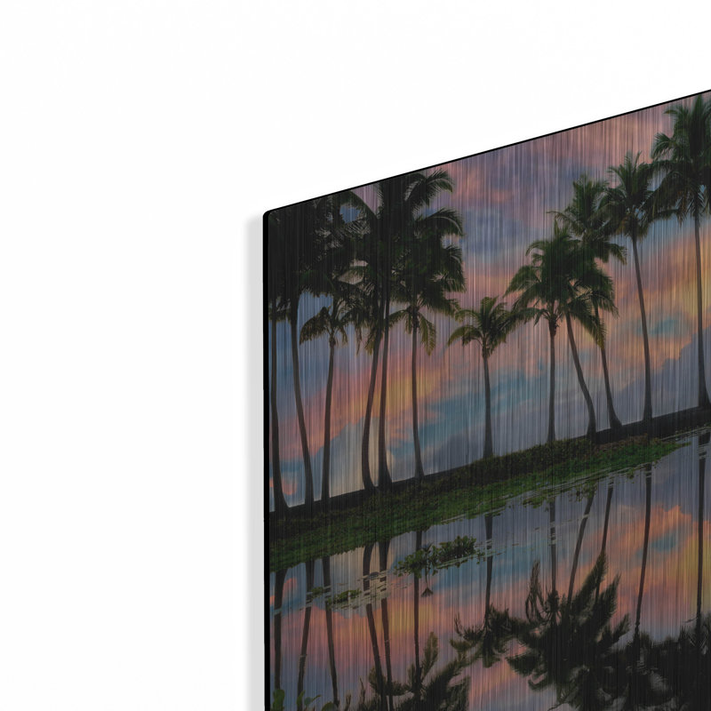 «Palm Reflections» par Dennis Frates, H 12 po x l 16 po
