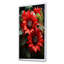 Fleurs de tournesol rouges - tournesols, art mural-810848836-1034779382