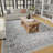 Aldos Oriental Indoor Rug-831132360
