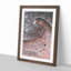 Mar Del Plata Beach in Argentina - Framed Print-62753401-62753398