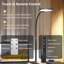 Desk Lamp-1780944914