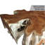Table basse abstraite en bois massif-859876083