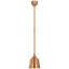 Academy Barn Light LED Outdoor Pendant