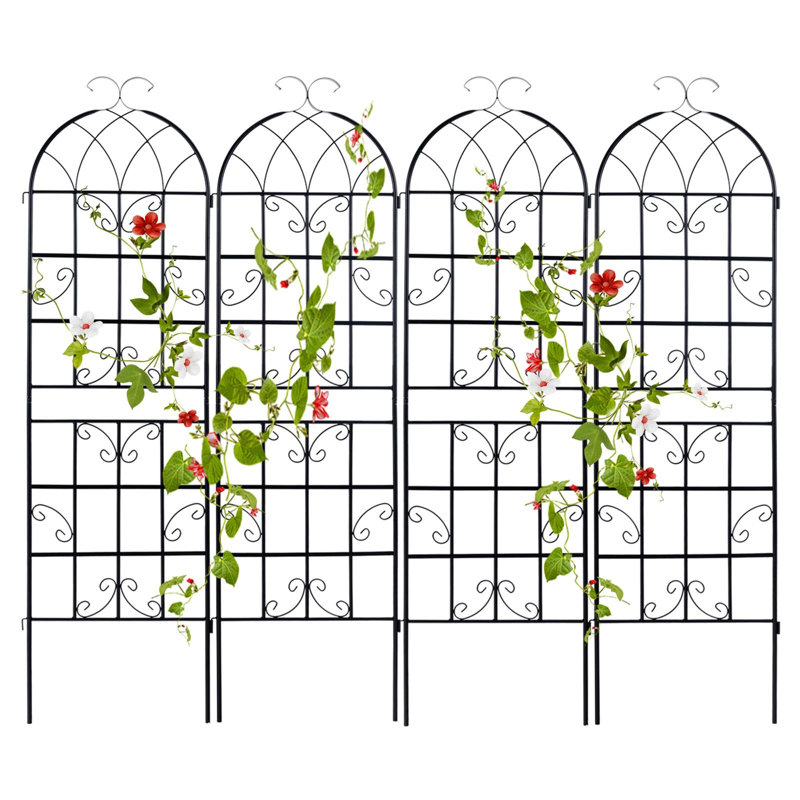 180cm H x 50cm W Metal Arched