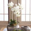 Conservatory Orchid Drop-In-1554782239