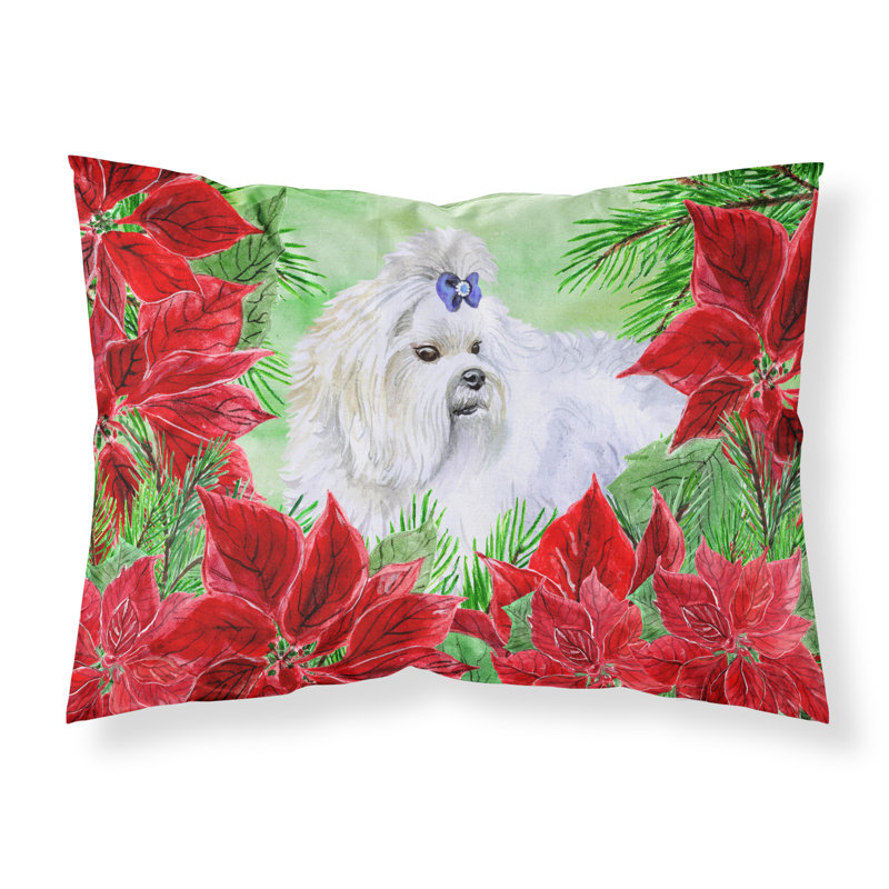 Taie d’oreiller poinsettas, Maltais
