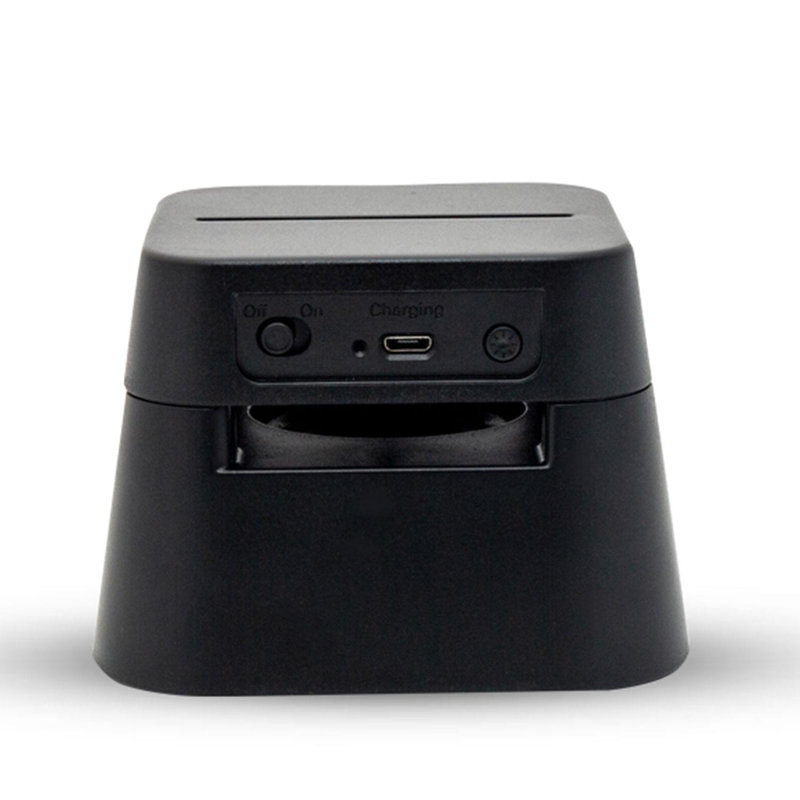 Novelty Lamp