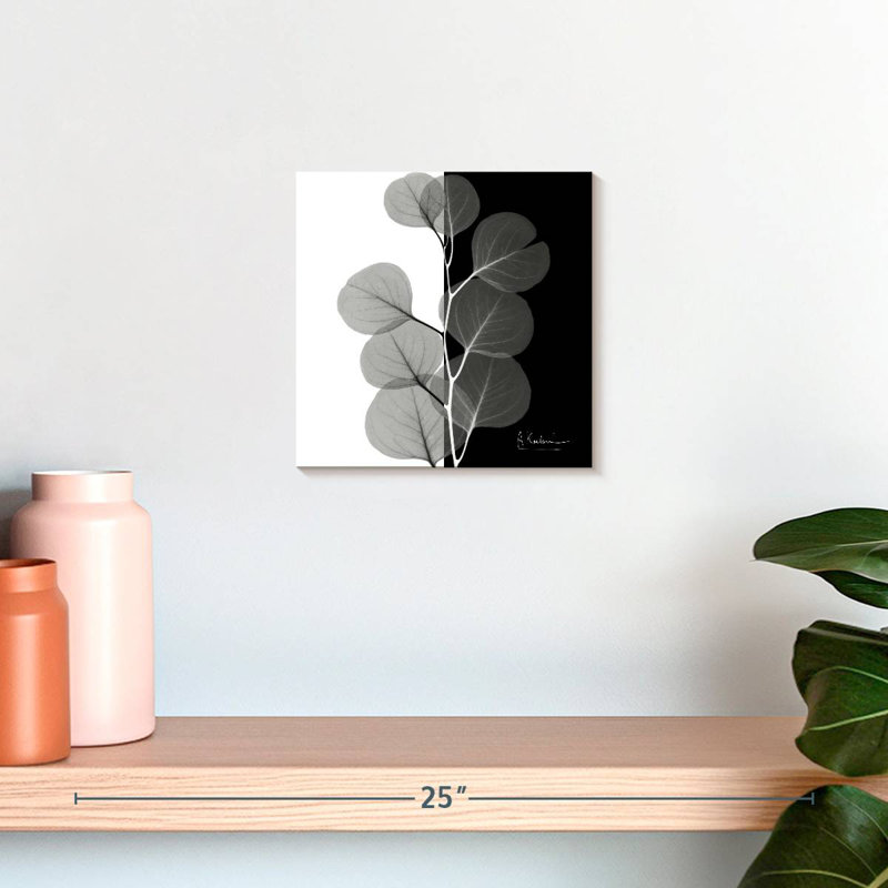 Arney Eucalyptus VI, H 10 po x l 10 po