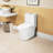 15.55 In Comfort Height Ceramic Toilet, 1.1/1.6 Flush, White, Soft Close Seat, & One White Height, Flushing, Approved