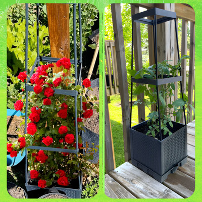 2 Packs Raised Garden Bed Tomato Planter Box With Trellis,56.8" Self-watering Tomato Cage With Trapezoidal Trellis For Climbing Plants Flowers Vegetables Vine In Patio Garden Indoor Outdoor