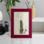 Antique Cactus IV, reproduction encadrée sur papier-830017416-830017525