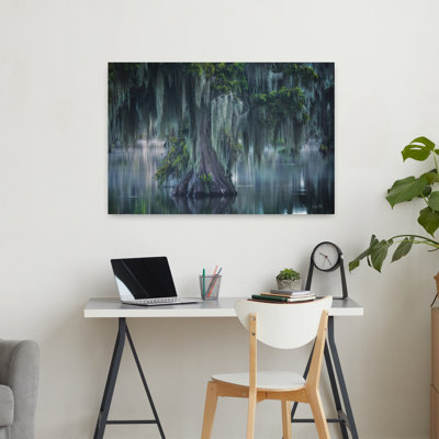 Curtains Of Moss Abstract Contemporary Cedar Moss Landscape Nature Art