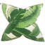 Aloe Sham-17444007