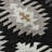 Premium Machine Washable Prisco Black Rug-1923231928