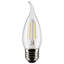 3 Watt LED Bulb