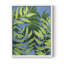 «Ocean Vines I», reproduction encadrée - bois massif-1359631447-1359631441