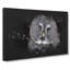 Great Grey Owl Vol.2 - Wrapped Canvas-61887169