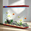 Aquarium 120-130 gallons-129445387