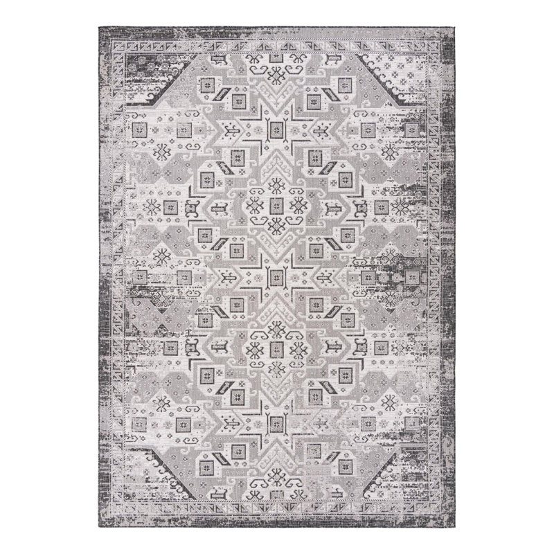 Alucard Indoor / Outdoor Rug, Rectangle 10' x 14'