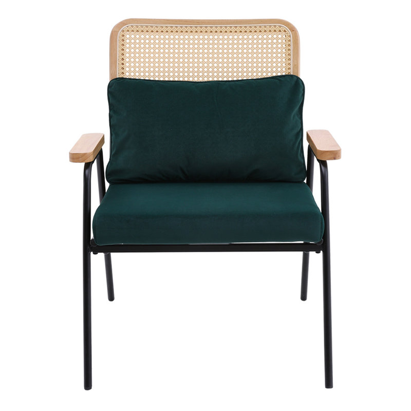 Alyncia Velvet Armchair
