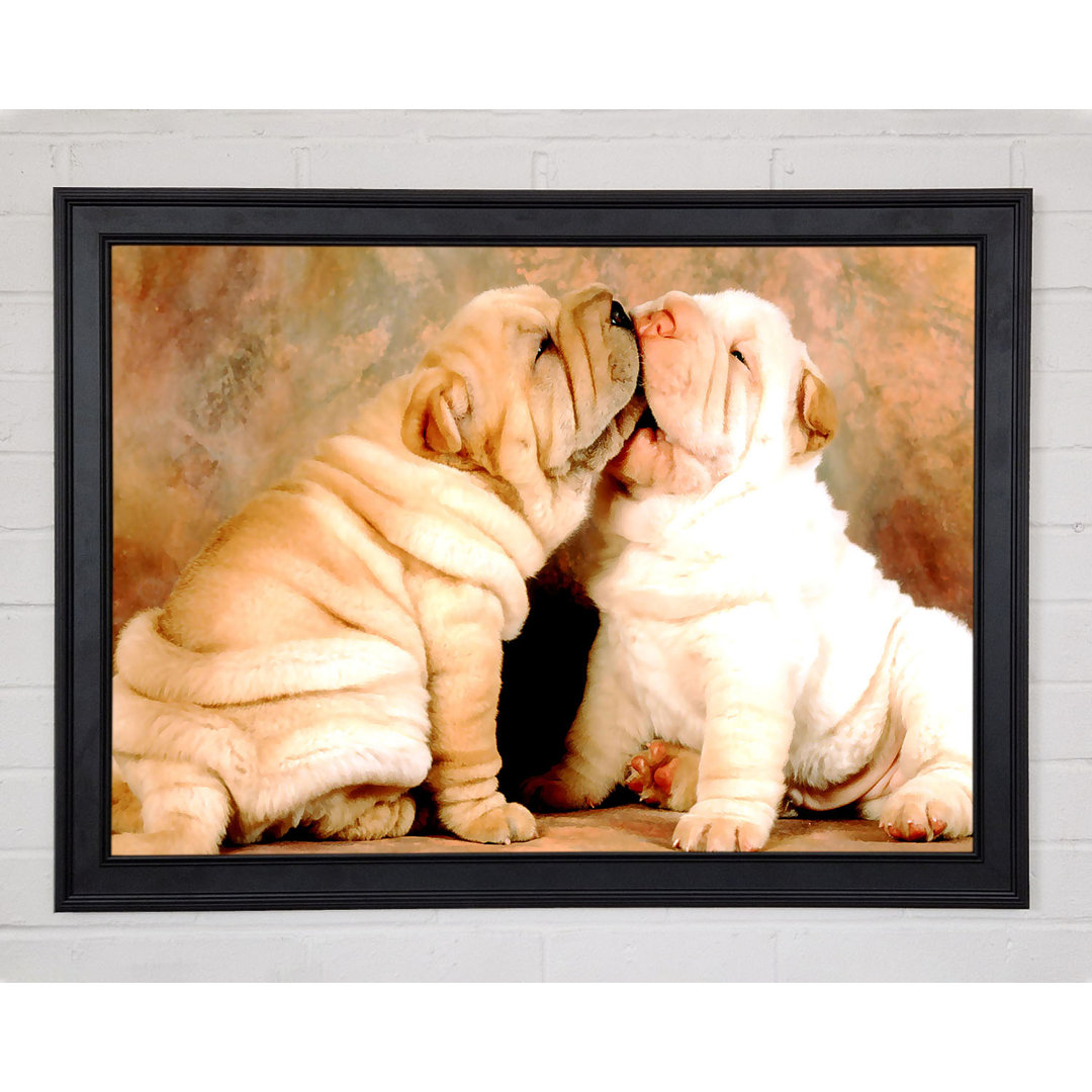 Shar Pei Welpen Gerahmter Druck