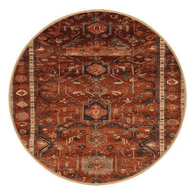 Machine Washable Turkish Brown Area Rug