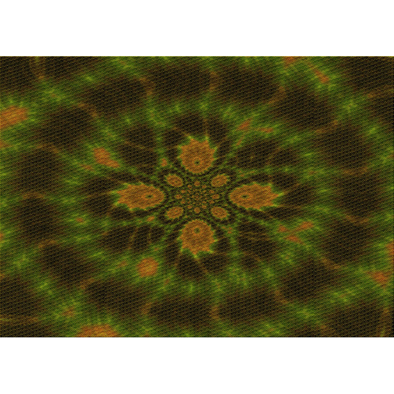 Oriental Indoor Rug, Rectangle 8' x 10'