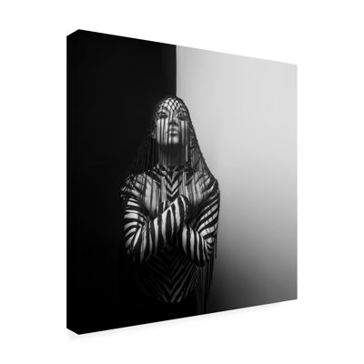 Mk.   Art sur toile zébré