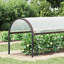 Plant Cover With Eyelets Polyethylene-1941514524