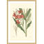 "Antique Floral III", reproduction encadrée-18742471