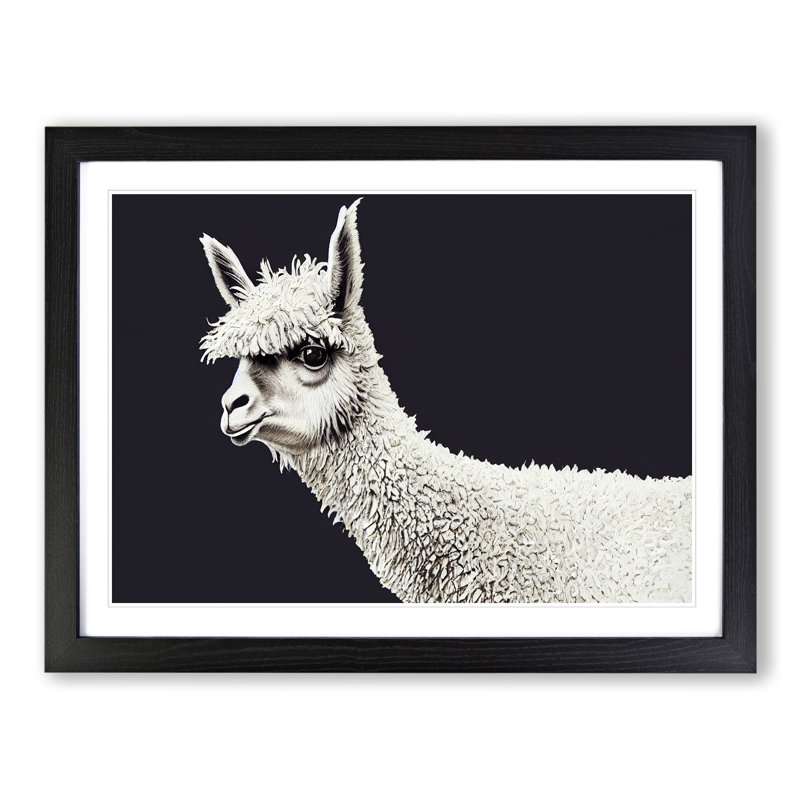 Portrait Of A Llama - Single Picture Frame Print, 25cm H x 34cm W x 2cm D, Black