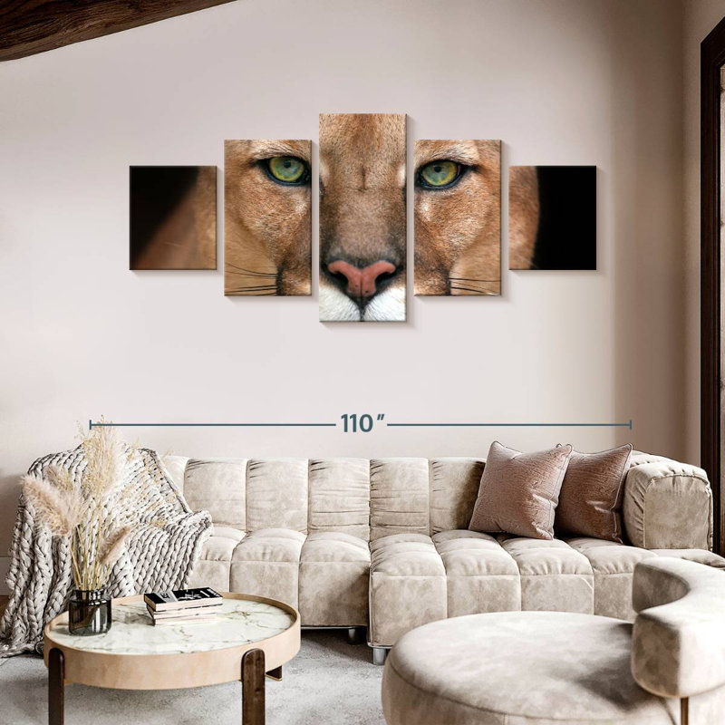 Staring Puma