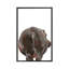 Art hippopotame-49839940-49839954
