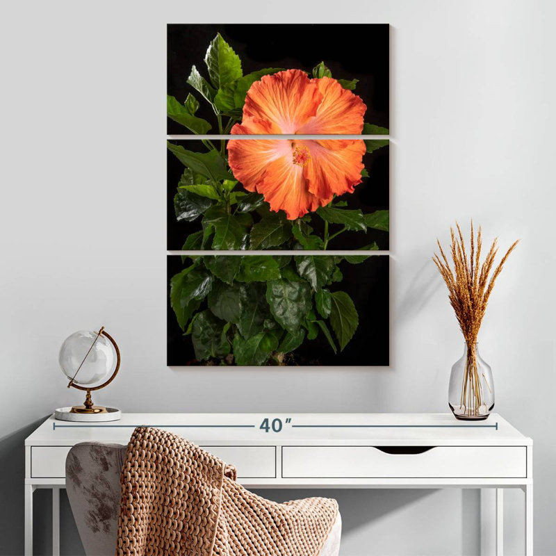 Harnek Orange Flower Of Hawaiian Hibiscus, 32" H x 20" W