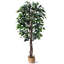 Faux ficus