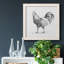 Toile encadrée «Barn Fowl I-Premium» - prête à être accrochée-958320636-958320637