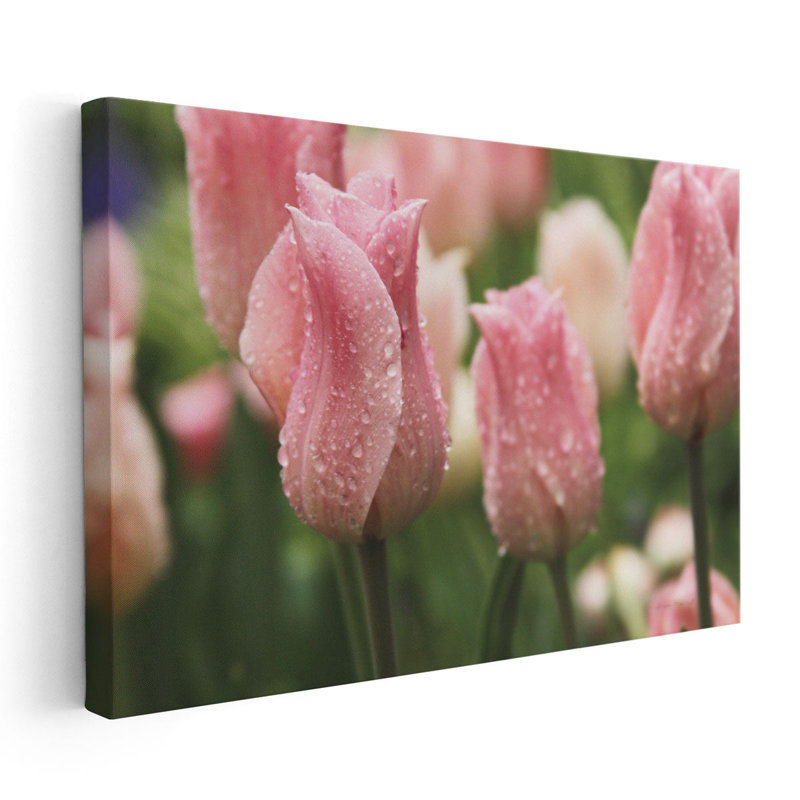 Tulipes après la pluie - reproduction d'art sur toile, H 20 po x l 30 po
