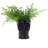Skull-Shaped Ceramic Vase.-1635332044-1635332046