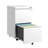 2 Drawer Metal Mobile File Cabinet with Lock, Ideal for Hanging Legal/Letter/A4 Size Documents, Fully Assembled Except Wheels for Easy Setup-1870485963