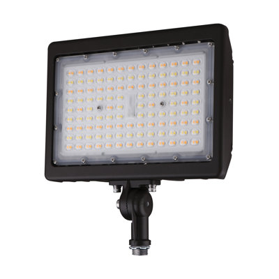 LED Flood Light