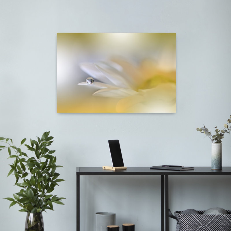 Morning Dewdrop Daisy Delicate Ethereal Serene Daisy Flower Nature Wall Art Print 1 Piece Wrapped Canvas Wall Art