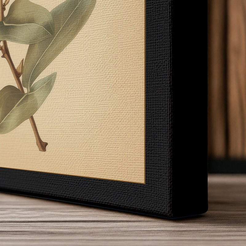 Magnolia in Bloom Botanical - Wrapped Canvas, 36x24 - 91.4 x 61.0 cm, Black Border