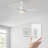 52'' Ceiling Fan with LED Lights-1753146368