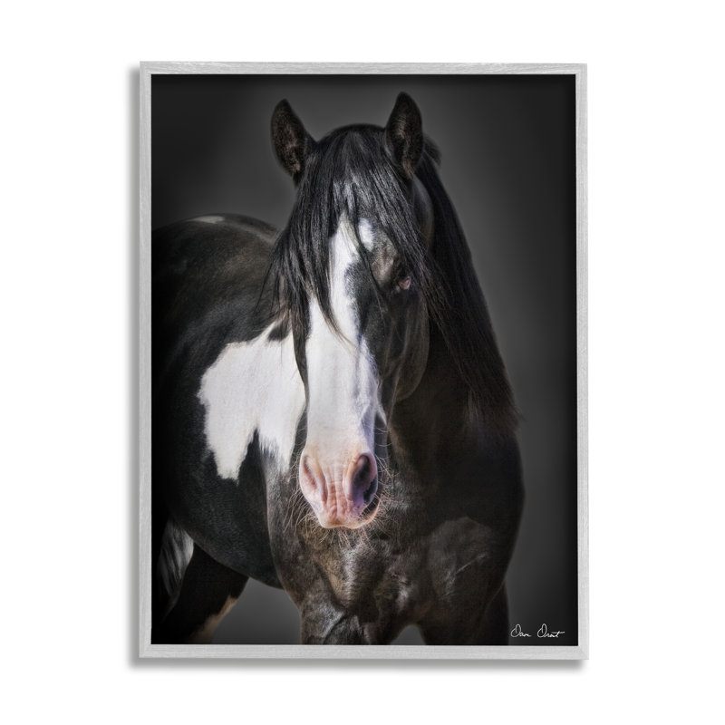 Cheval noir et blanc sur bois par David Drost, H 20 po x l 16 po x P 1,5 po