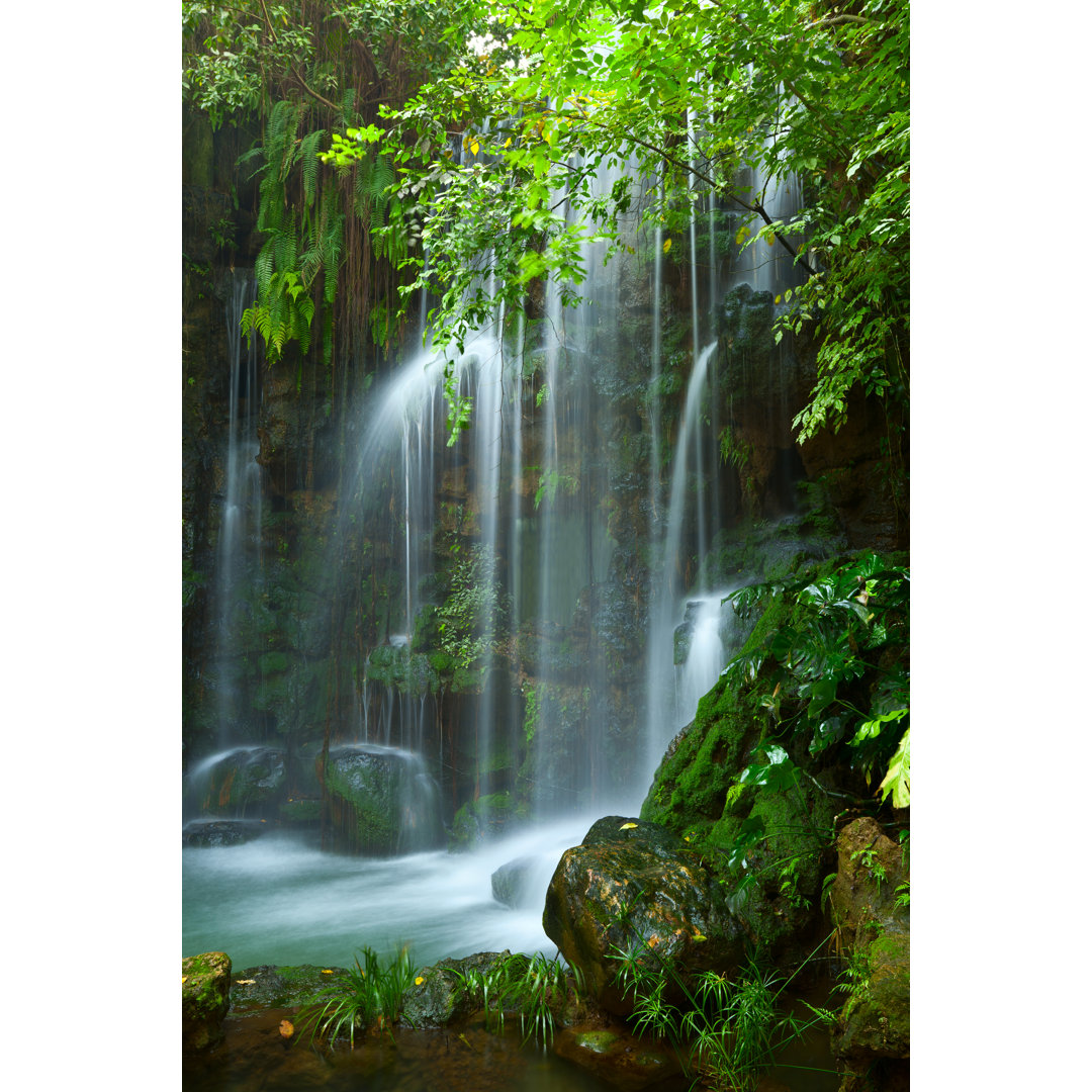 Wasserfall von Ithinksky - Kunstdrucke auf Leinwand ohne Rahmen